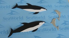 SEAWORLD Adventure Parks Epoxy Stickers & 58 other Stickers Scrapbook Pages NEW