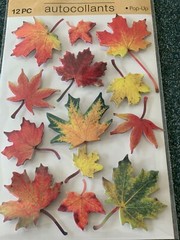 ADHESIVE COLORFUL THICK FALL LEAF SHAPES FALL LEAVES VARIOUS SIZES 3D 12PCS #1