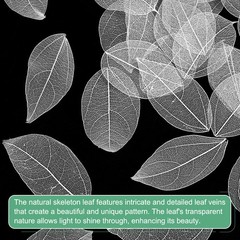 100-Pack Skeleton Leaves, Natural Rubber Tree Leaves Vein[4-6cm, White]
