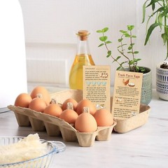 Fresh Farm Eggs Handling Instruction Cards 2 x 3.5» Egg Carton Stamp Bulk La…