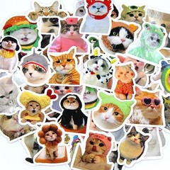 50/100pcs Funny Cat Stickers Cartoon Cute Decals Toy Stationery Guitar Phone