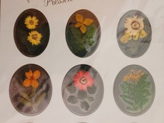 Vintage Victoria’s Spring Pressed Flower Stickers Sealed Pack 9 Real Flowers