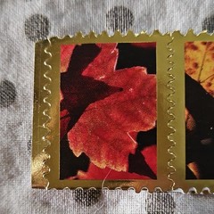 Gold Frame Autumn Leaves Sticker Strip, Gold Black Red Orange Yellow Quotes
