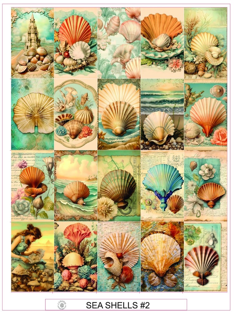 SEA SHELLS #2 – COMPLETE SHEET OF 20 STICKERS