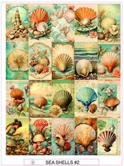 SEA SHELLS #2 – COMPLETE SHEET OF 20 STICKERS