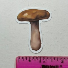 Die Cut Sticker Brown Mushroom Mycology Nature Earth Tones