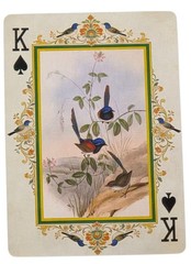Vintage Bird Illustrations John James Audubon Junk Journal Scrapbook Crafts SK