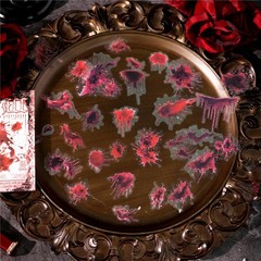 30Pcs Gothic Dark PET Stickers Journal Album Scrapbook Vampire Elf Rose Sticker