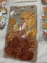 autumn fall sticker and decor lot Jolee, Paper House, K&C company scrapbooking