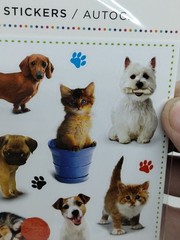 American Greetings Cute Cats & Dogs Stickers 3 Sheets