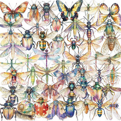 50Pcs Transparent Insect Stickers for Scrapbooking PET Nature Dragonfly Bee Butt