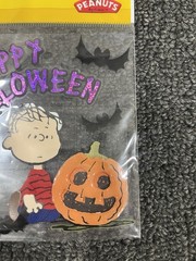 New! Peanuts Charlie Brown Snoopy Halloween Scrapbooking Stickers EK Success