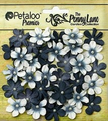 Mini Daisies Petite BLACK GREY 40 Paper 20-22mm Pearl Centre Penny Lane Pet XC