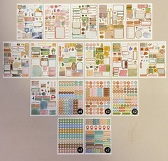 6″ x 8″ Planner Sticker Books – Set of (2) Books each w/ 1700+ Stickers