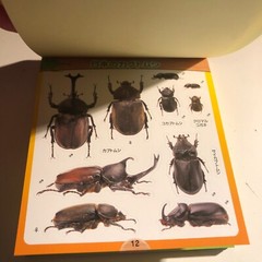 Beetle and Stag Beetle Japanese Stickers book 275 Stickers Shogakkan Neo