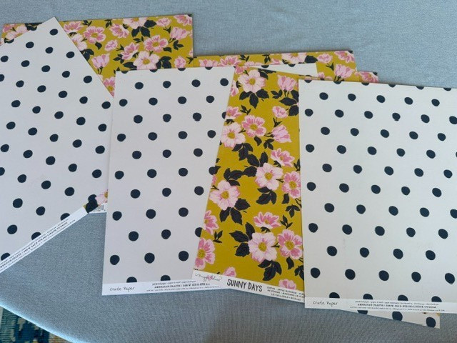 19 Sheets Floral/Polka Dot Maggie Holms Sunny Day 12×12 – Scrapbook, Craft