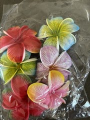 Flower Pack, Multi-Color Crafts