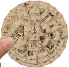 56pcs Human Anatomy & Physiology Vinyl Stickers Vintage Medical Student Notebook