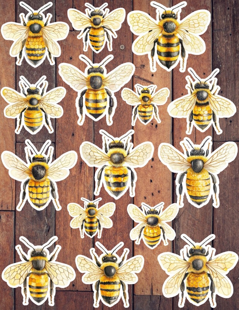 Bees Vinyl Die Cut Stickers Set Scrapbooking Laptop Waterbottle