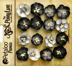Forget Me Nots BLACK GREY 16 Paper Flowers 20mm across Penny Lane Petaloo XC