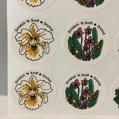 Vintage CTP Scratch ‘N Sniff Orchid Flower Stickers
