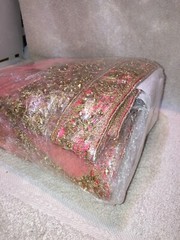 CraftingLove/Valentines Junkin’ Box-13 Plus Pounds-Ephemera, Junk Jewelry, etc.