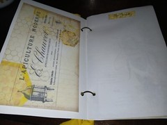 Cute Bee Junk Journal Scrapbook Usa Seller