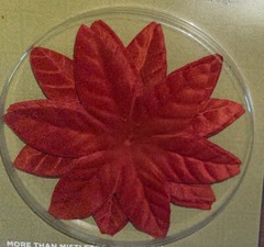 Imaginisce Poinsettia Vendetta Red Flowers Florals Cinnamon More Than Mistletoe