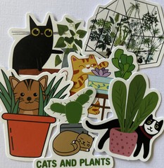 MANY CATS & PLANT ASSORTMENT Stickers(6pc)Kitten•Meow •Floral•Hiding•Peeking•Pet