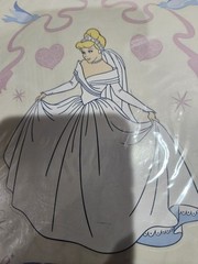 Sandylion sticker designs Cinderella & Prince sticker sheet 12×6