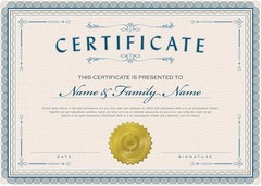 Hybsk 300Pcs Notary Seals 2 Inch Embossing Stickers Gold Metallic Certificate Se