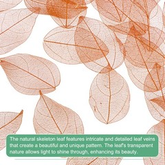 100-Pack Skeleton Leaves, Natural Rubber Tree Leaves Vein[4-6cm, Nude]