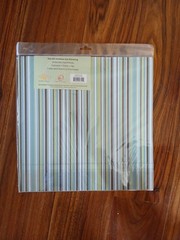 Live Out Loud «My Car» kit by Recollections for scrapbooking 12×12 Sheets