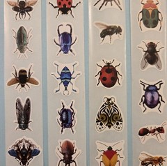 20 ASSORTED BUG STICKERS/ INSECT STICKERS/REWARD STICKERS/KID STICKERS