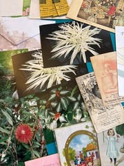50+ Junk Journal Ephemera Lot Vintage Paper Destash Slides Cards Photos Kit