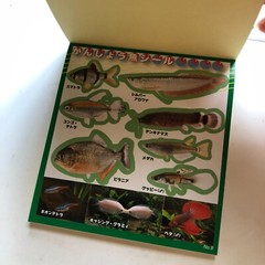 FISH Japanese Stickers book 274 stickers Shogakkan NEO Book Series