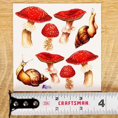 Violette Stickers – Mushrooms & Snails – 1 Woodland Sticker Sheet – Scrapbooks