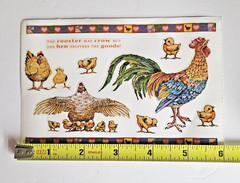 Rare Collectible PSX Designs ROOSTER & CHICKENS (SR6451) 4×6 Sticker Module