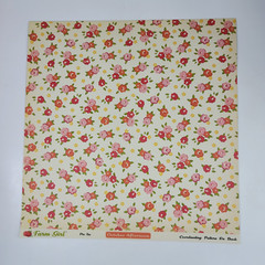 October Afternoon Farm Girl Scrapbooking Lot 12×12 Paper Stickers Die Cuts Cards