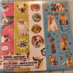 Puppy Kitten Stickers 366 American Greetings Party Favor Reward Craft