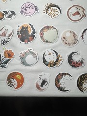 50 CNT Moon Phase Sticker Lot Witchy Celestial Cat Floral Mystical Collection