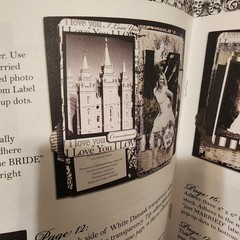 Teresa Collins MR & MRS Wedding Scrapbook Flocked Cover & More **READ**