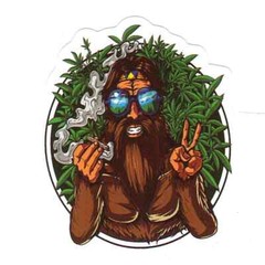Stickers for Water Bottles, 420 Stickers for Teens Adults, Vinyl Waterproof