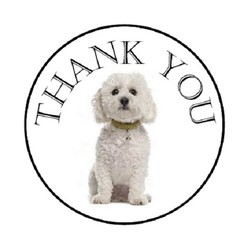 48 Thank You Dog White Bichon Frise!! ENVELOPE SEALS LABELS STICKERS 1.2″ ROUND