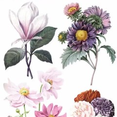 Violette Stickers – Elegant Flowers – 1 Floral Garden Sticker Sheet – Scrapbooks
