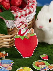 Strawberry Shortcake Cute Cartoon Licensed Adhesive Stickers – Pack of 42
