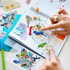 40Pcs Bird Stickers, Transparent Colorful Bird Stickers, PET Vintage Bird-40p