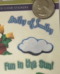 BACKYARD FUN Mylar Stickers Approx.4-1/4″x 11″Miss Elizabeth’s •Camping•Outside•