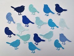 Bird Birds Die Cut Paper Scrapbook Card Making Embellishment 18pc