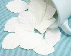 LEAVES CREAM LARGE x 40 Pack Paper – 48mm Long x 28mm Wide Manor House